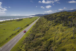 New Zealand 2025 (1 group) (25/66)